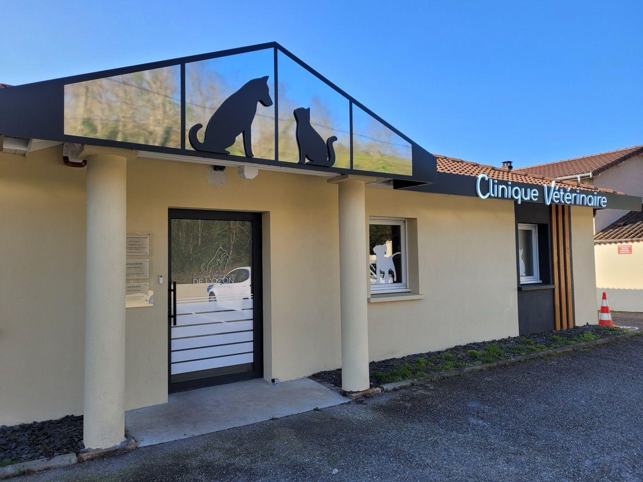 rénovation extérieur clinique vétérinaire Lyon